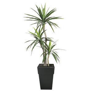 Outdoor Artificial Potted Yucca 65 x 20''