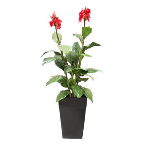 Artificial , 6' Canna Red Flowers